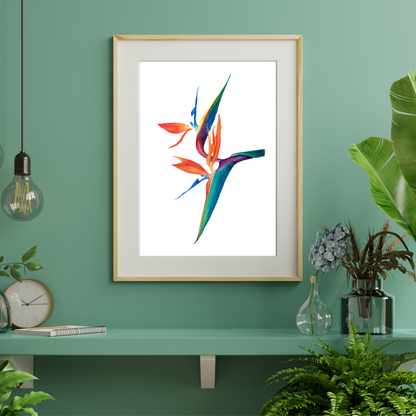 Bird Of Paradise