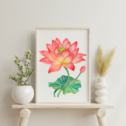 Lotus