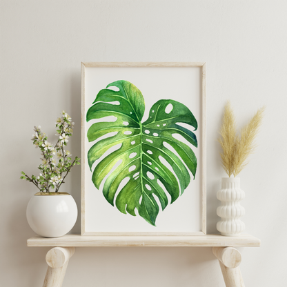 Monstera Leaf