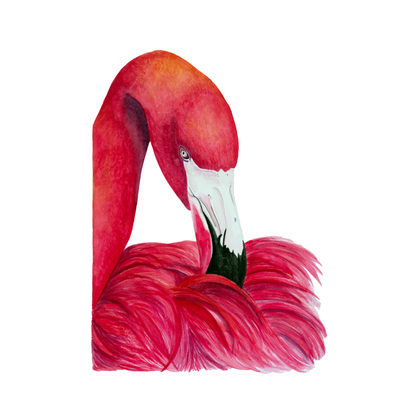 Flamingo Betty